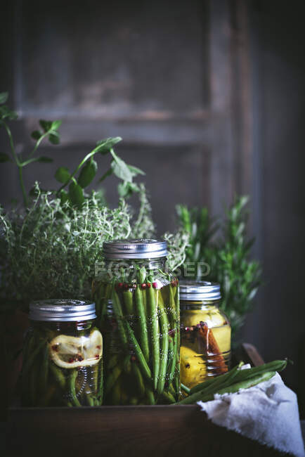 Composition of potted plant, lemons and glass jar with raw green beans in wooden box — Stock Photo