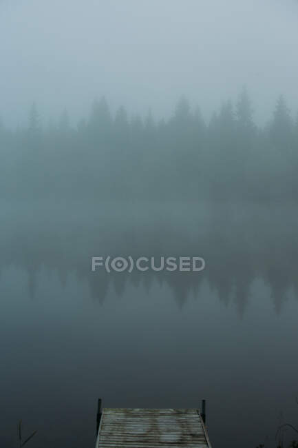 Aged weathered pier located near calm water on foggy day in swamp in Finland — Stock Photo