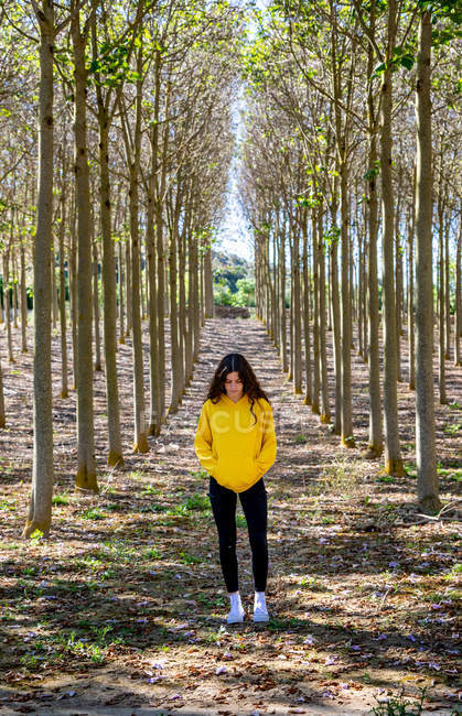Jeune femme en sweat-shirt jaune debout dans le bosquet et regardant vers le bas — Photo de stock