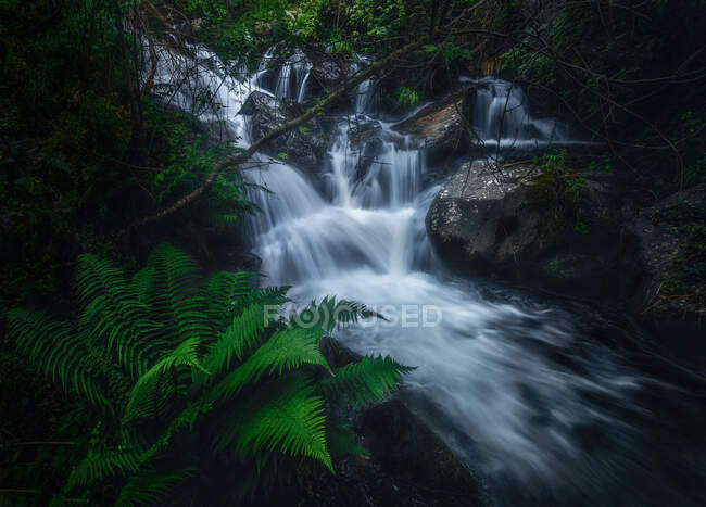Enger Gebirgsfluss fließt zwischen Felsen im grünen Moos — Stockfoto