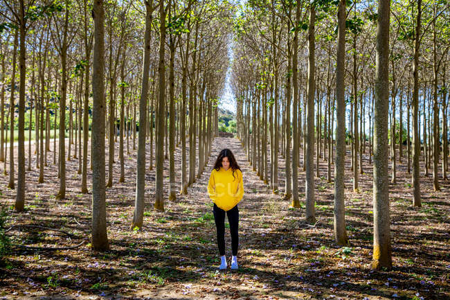 Jeune femme en sweat-shirt jaune debout dans le bosquet et regardant vers le bas — Photo de stock