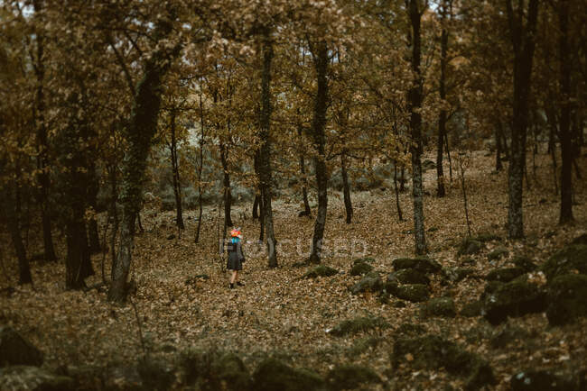 Donna anonima in maschera di volpe di carta che cammina nella misteriosa foresta autunnale in tempo nuvoloso. Concetto di protezione dell'habitat naturale — Foto stock