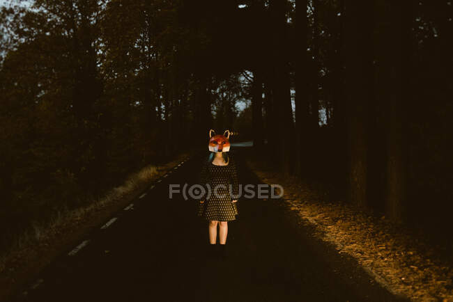 Mujer anónima con máscara de zorro de papel de pie en medio del callejón del bosque por la noche. Concepto de accidentes de tráfico o atropellos en carretera - foto de stock