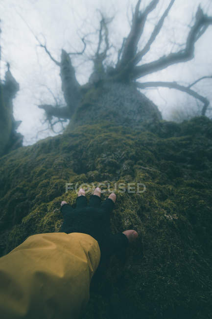 Crop tourist in gloves with naked fingers touching part of ancient wood covered by moss — Stock Photo