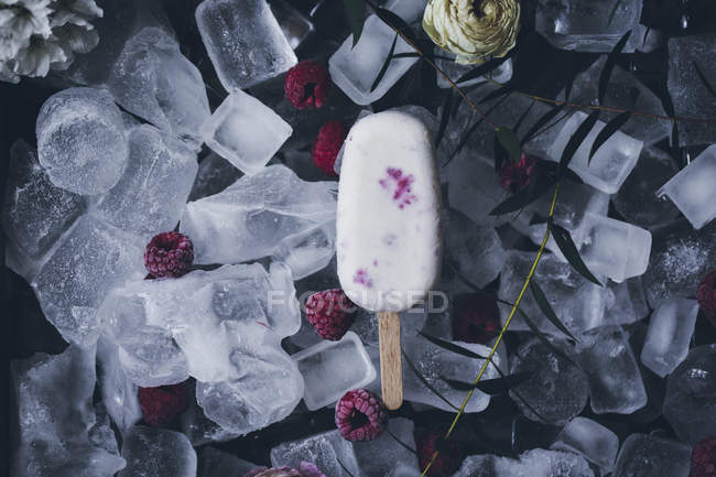 Still life of creamy raspberry popsicle on top of ice cubes, frozen raspberries and flowers — Stock Photo