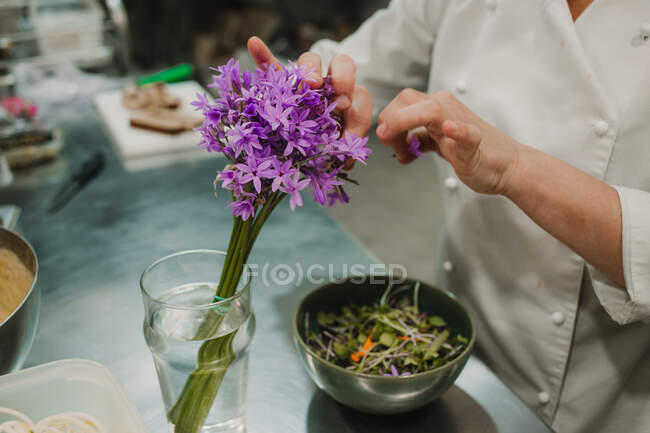 Ensalada de verduras con verde oscuro en cuenco de acero y manos de chef comprobando plato - foto de stock