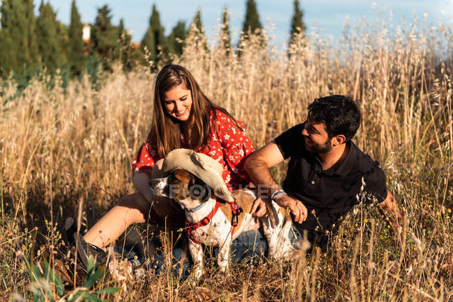 Smiling cheerful couple sitting among high grass and having fun with little dog in countryside — Stock Photo