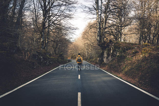 Visão traseira de turista irreconhecível com mochila caminhando ao longo de estrada de floresta sem fim vazia com árvores nuas secas na beira da estrada — Fotografia de Stock