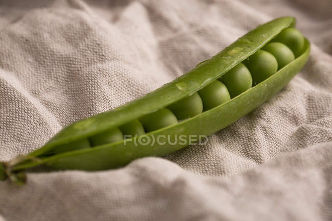Peeled open pea pod on white cloth — Stock Photo
