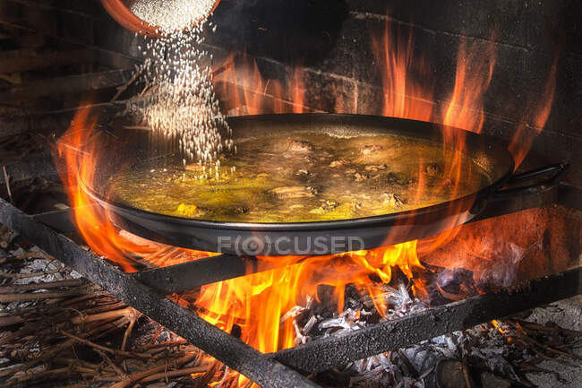 Añadir arroz en una sartén grande de hierro con caldo hirviendo para cocinar paella sobre fuego abierto con leña - foto de stock
