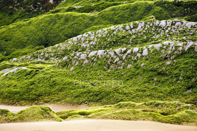 Fußweg und steiniger Hügel in der Natur mit Moos bedeckt — Stockfoto