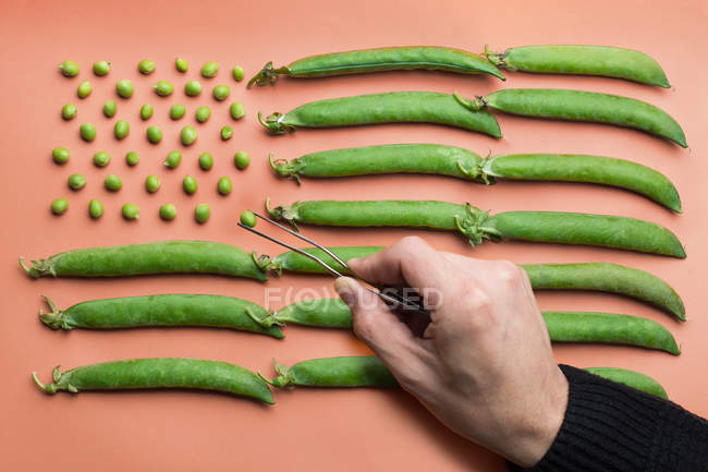 Mão humana fazendo Flat lay da bandeira dos EUA com ervilhas e vagens de ervilha no fundo de salmão — Fotografia de Stock