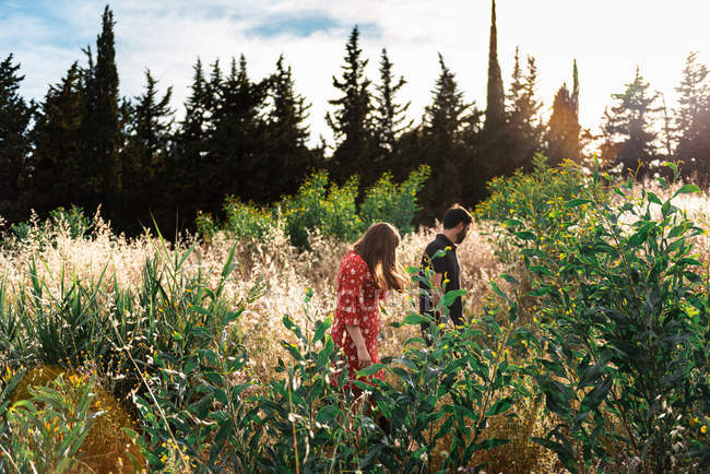 Casal feliz andando entre grama amarela na natureza — Fotografia de Stock