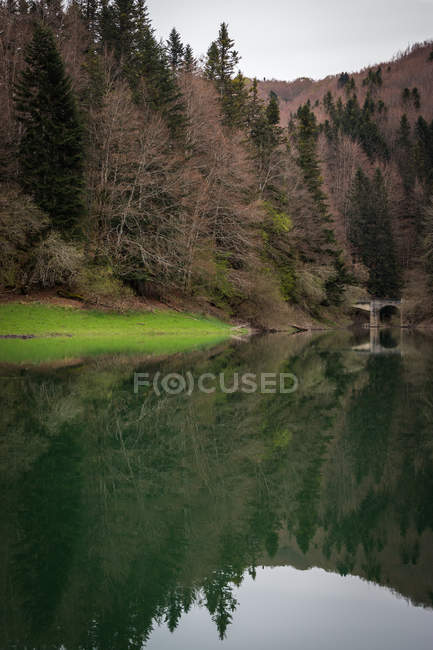 Conifer trees growing near hills on shore of lake with tranquil water surface in quiet countryside — Stock Photo