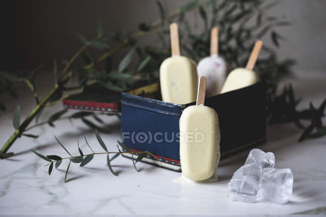 Sorvete sortido picolés em caixa metálica vintage em uma superfície de mármore decorada com flores — Fotografia de Stock