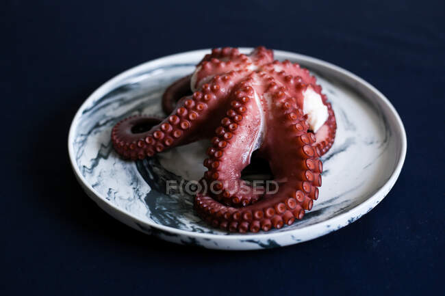 Red fresh fleshy octopus in white plate — Stock Photo
