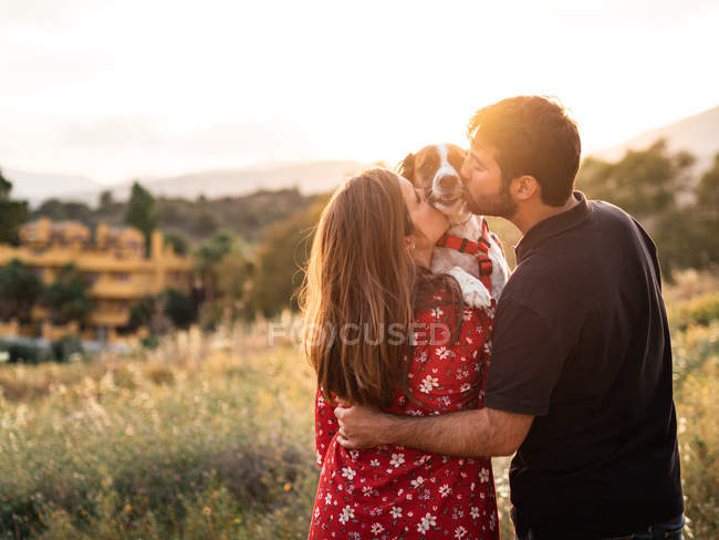 Cheerful couple kissing little dog among high grass in countryside — Stock Photo