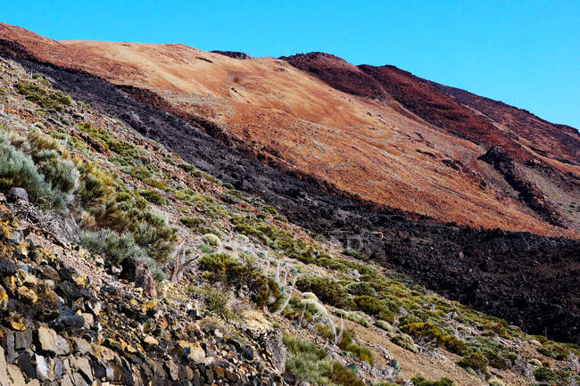 Mountain peak and burnt wild landscape — Stock Photo