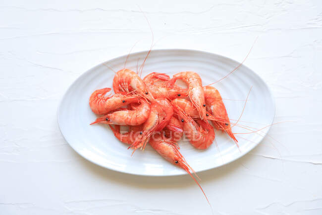 Shrimps served on white plate — Stock Photo