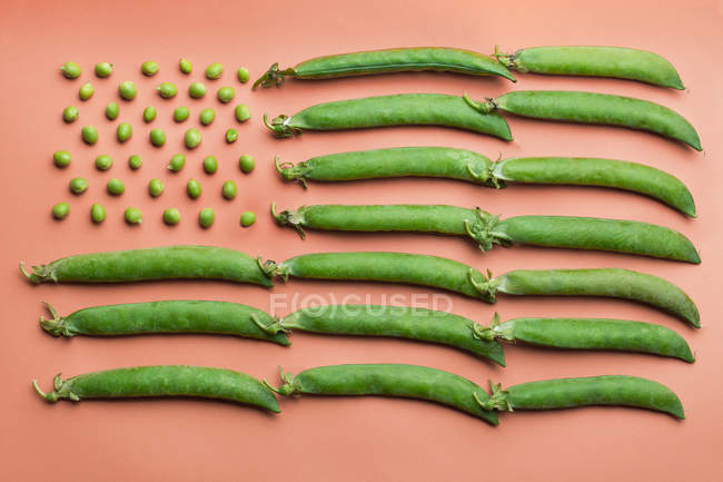 Flat lay of USA flag made with peas and pea pods on salmon background — Stock Photo