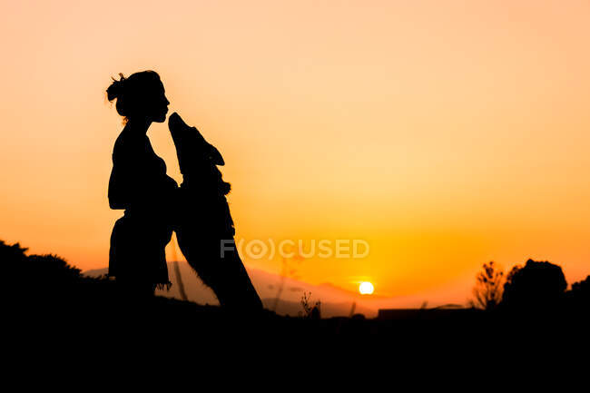Silhouette de femme dressant grand chien dans la nature sauvage sur fond de soleil couchant orange. Chien sautant haut pour traiter — Photo de stock