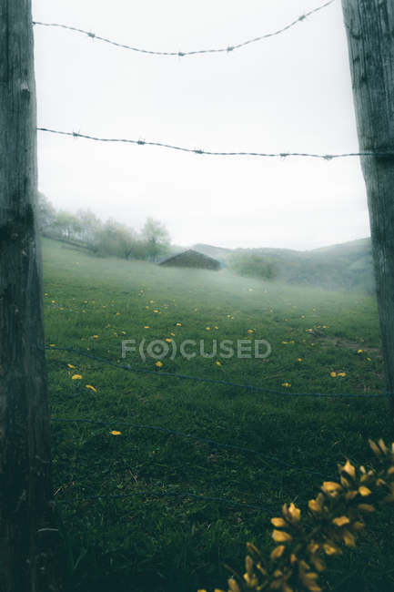 Vista del campo nebuloso a través de vallas de madera con alambre en clima lluvioso. - foto de stock