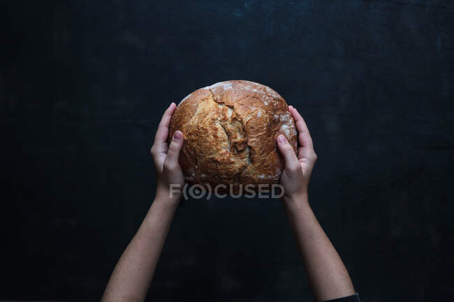 Pan redondo de centeno recién horneado en manos - foto de stock