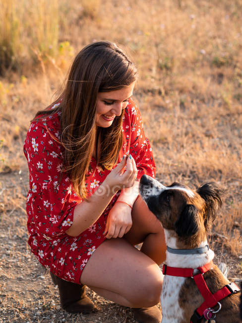 Young woman with long hair playing and giving affection to cute dog — Stock Photo