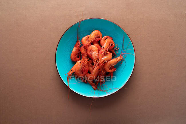 Crevettes rouges savoureuses dans une assiette bleu vif — Photo de stock