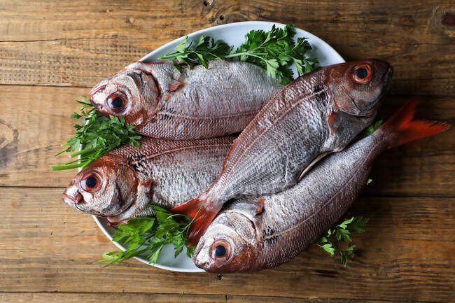 Большая рыба с красным хвостом в тарелке — стоковое фото