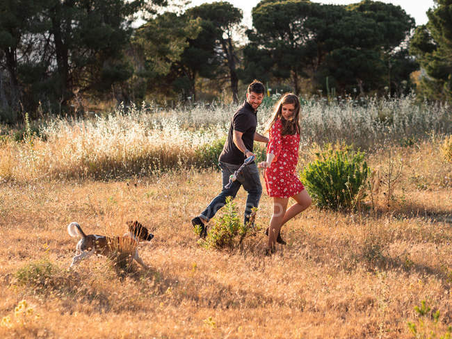 Cheerful couple running with small friendly dog among yellow grass in park — Stock Photo