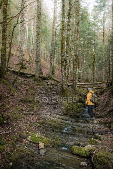 Вид збоку анонімного чоловіка з рюкзаком, що стоїть на природних сходинках з протікаючою водою і в гірській місцевості — стокове фото