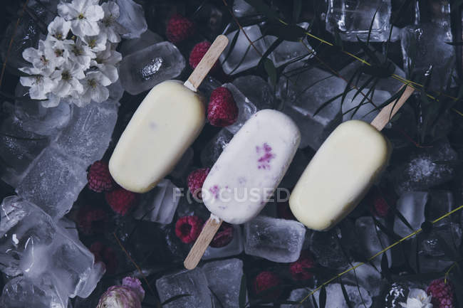 Still life of assorted creamy raspberry and vanilla popsicles on top of ice cubes, frozen raspberries and flowers — Stock Photo