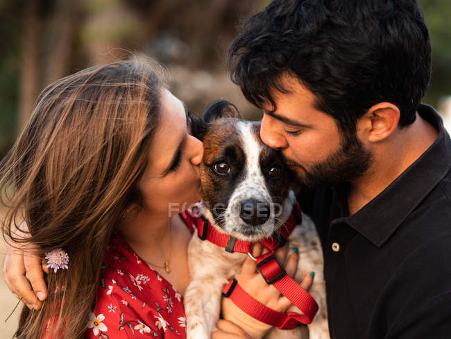 Couple kissing little dog in countryside — Stock Photo