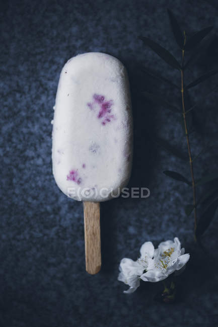 Cremiges Himbeer-Eis am Stiel auf dunkler Oberfläche mit Blume verziert — Stockfoto