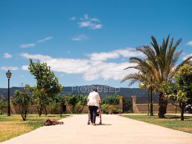 Visão traseira da mulher idosa em blusa com andador no parque tropical no dia ensolarado — Fotografia de Stock