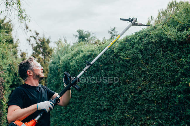 Uomo caucasico potatura di una siepe arizonica con strumenti meccanici — Foto stock