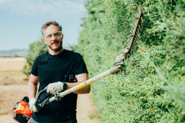 Caucasian man trimming an arizonica hedge with mechanical tools — Stock Photo