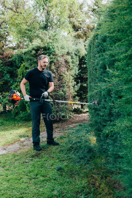 Caucasian man trimming an arizonica hedge with mechanical tools — Stock Photo