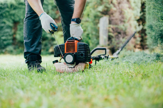 Geschnittenes Bild eines Mannes, der eine Arizonica-Hecke mit mechanischen Werkzeugen einschaltet und schneidet — Stockfoto