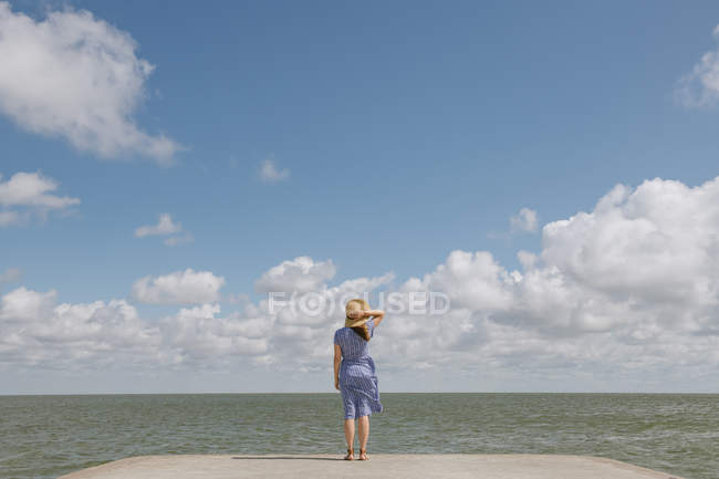 Vista posterior de la mujer adulta en sombrero de paja y vestido de sol en muelle de hormigón vacío en el día nublado - foto de stock