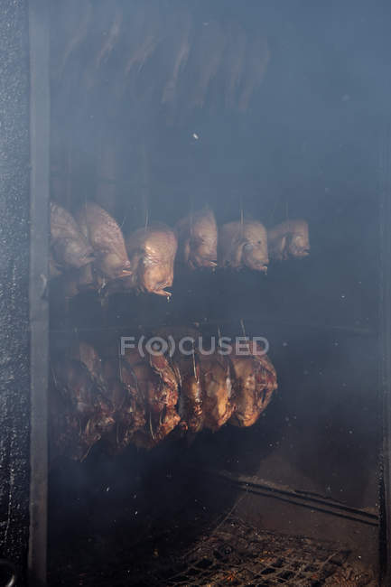 Rows of eviscerated fish hanging on ropes cooking inside smokehouse — Stock Photo