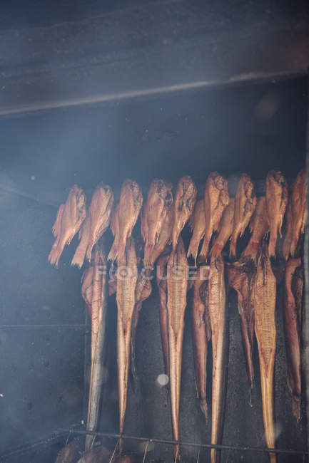 Divers délicieux poissons fumés attachés à une bande de bois avec des clous le jour ensoleillé — Photo de stock