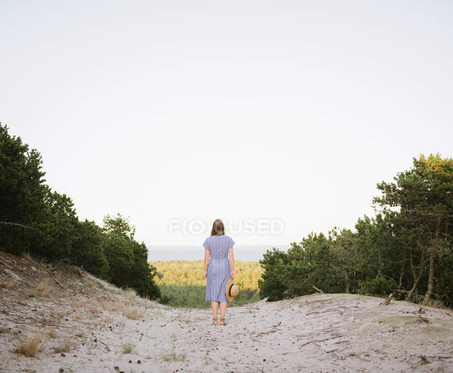 Back view of adult woman in straw hat and sundress walking along forest road between pines at sunny day — Stock Photo