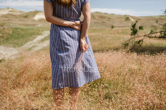 Cropped image of adult woman in dress with wisp of dry grass spikes while standing on scenic field, Nida — Stock Photo