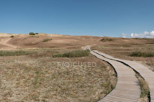 Holzpfad inmitten trockener, leerer Felder an sonnigen Sommertagen — Stockfoto