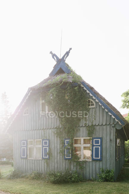 Hermosa casa azul de madera con techo a dos aguas cubierto de hiedra en el campo verde al atardecer - foto de stock