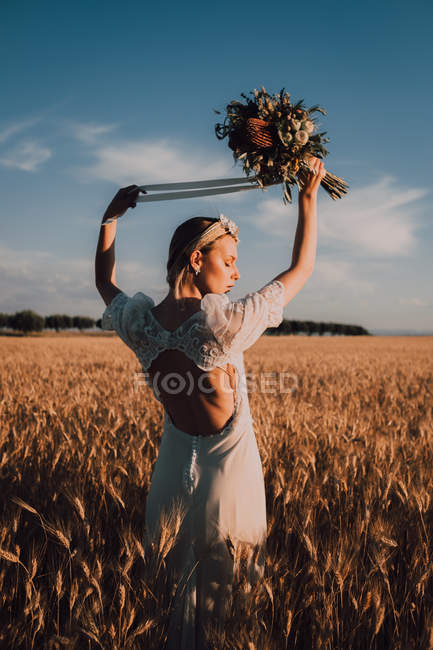 Вид ззаду витончена ніжна жінка в мереживному платті, що тримає літню квітку в піднятих руках на полуденному сонці на пшеничному полі — стокове фото