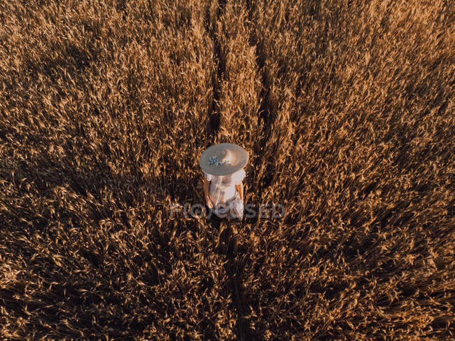 D'en haut femme en robe blanche et grand chapeau au milieu du champ avec des oreilles mûres sèches de blé dans le jour chaud — Photo de stock