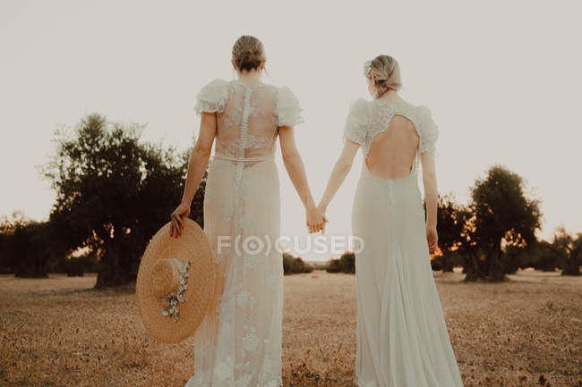 Back view of young women in tender lace dresses with open back holding hands and looking at olive trees in sunlight — Stock Photo